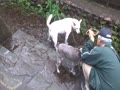 水 水